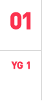 YG 1